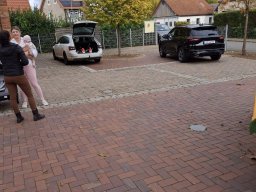 Herbstputz