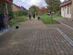 Herbstputz