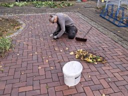 Herbstputz