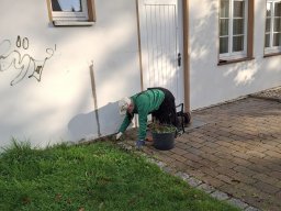 Herbstputz