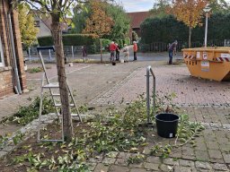 Herbstputz