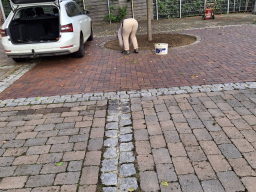 Herbstputz