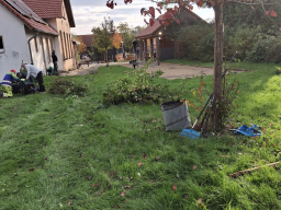 Herbstputz