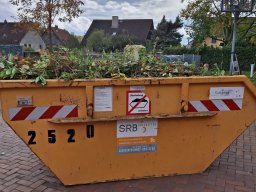 Herbstputz