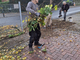 Herbstputz