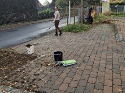 Herbstputz